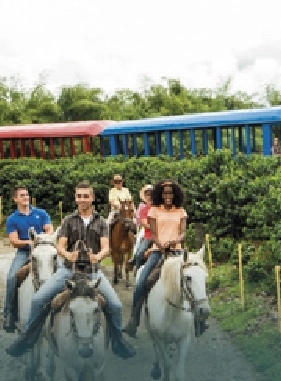 Vive una experiencia llena de diversión en uno de los principales parques de Latinoamérica mientras contemplas las maravillas de esta región.
Parque del Café