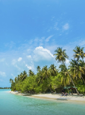 Disfruta de arenas blancas y aguas cristalinas en el paraíso caribeño de Playa del Carmen.
Playas Idílicas