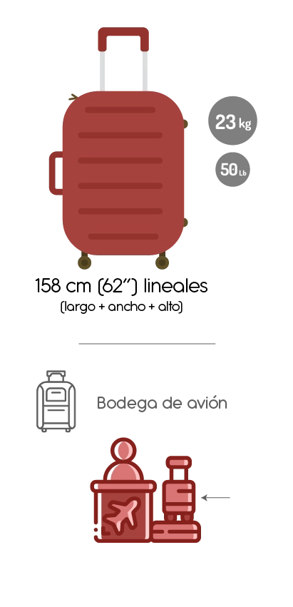 Equipaje de bodeja