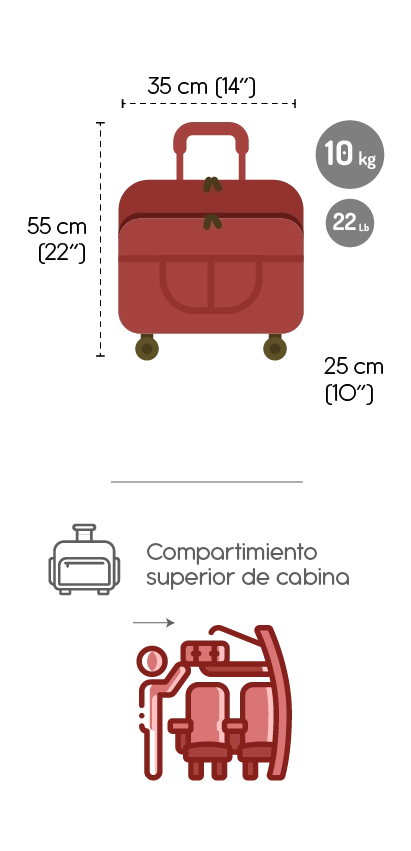 Equipaje de mano