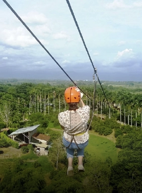 Explora Panaca, el parque agropecuario del Quindío donde interactúas con animales y disfrutas del campo colombiano.
Panaca
