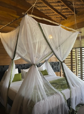 Acogedora y funcional, la habitación estándar doble ofrece confort esencial con aire acondicionado por horarios, ventilador, baño privado, TV y decoración inspirada en la selva.
Ver más
Estandar Doble