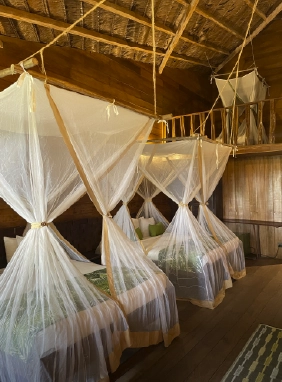 Perfecta para familias o grupos, la habitación superior cuádruple o sexdulple es amplia y comoda, cuenta con aire acondicionado por horarios, ventilador, baño privado y un diseño inspirado en la selva amazónica.
Ver más
Superior cuadruple o sexduple