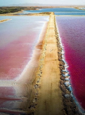 Maravíllate con el color rosado de sus aguas y paisajes únicos.
Salinas de Galerazamba