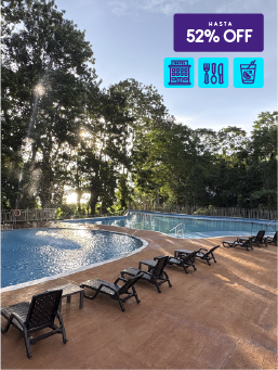 Hotel Amazon – Amazonas (Leticia) - Noches Mágicas
¡Lo Quiero!
Promoción válida del 15 al 16 de diciembre de 2025.
Hotel Amazon – Amazonas (Leticia) - Noches Mágicas