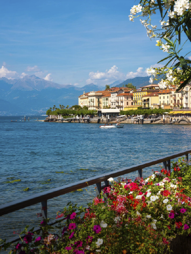 NIZA
&bull; Ibis Nice Centre Gare
NIZA