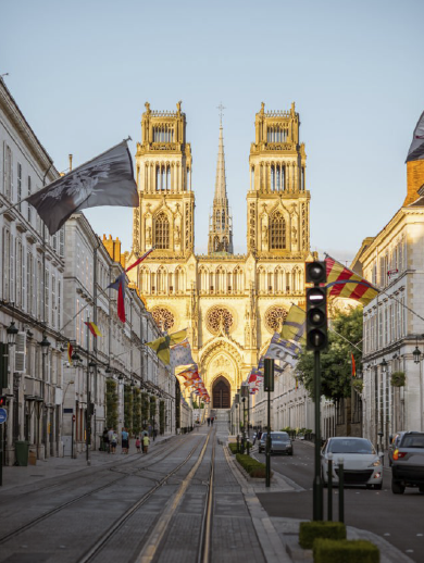ORL&Eacute;ANS
&bull; Ibis Orleans Centre Foch
ORL&Eacute;ANS