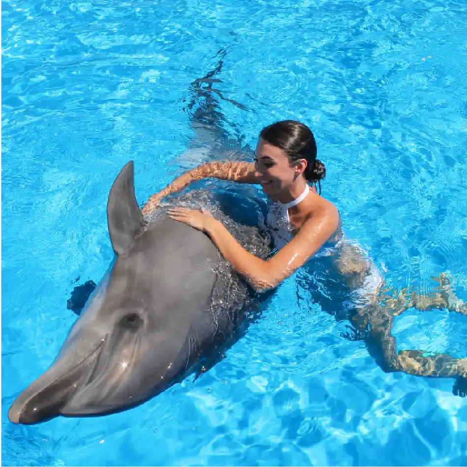 Nado con Delfines Primax 2x1