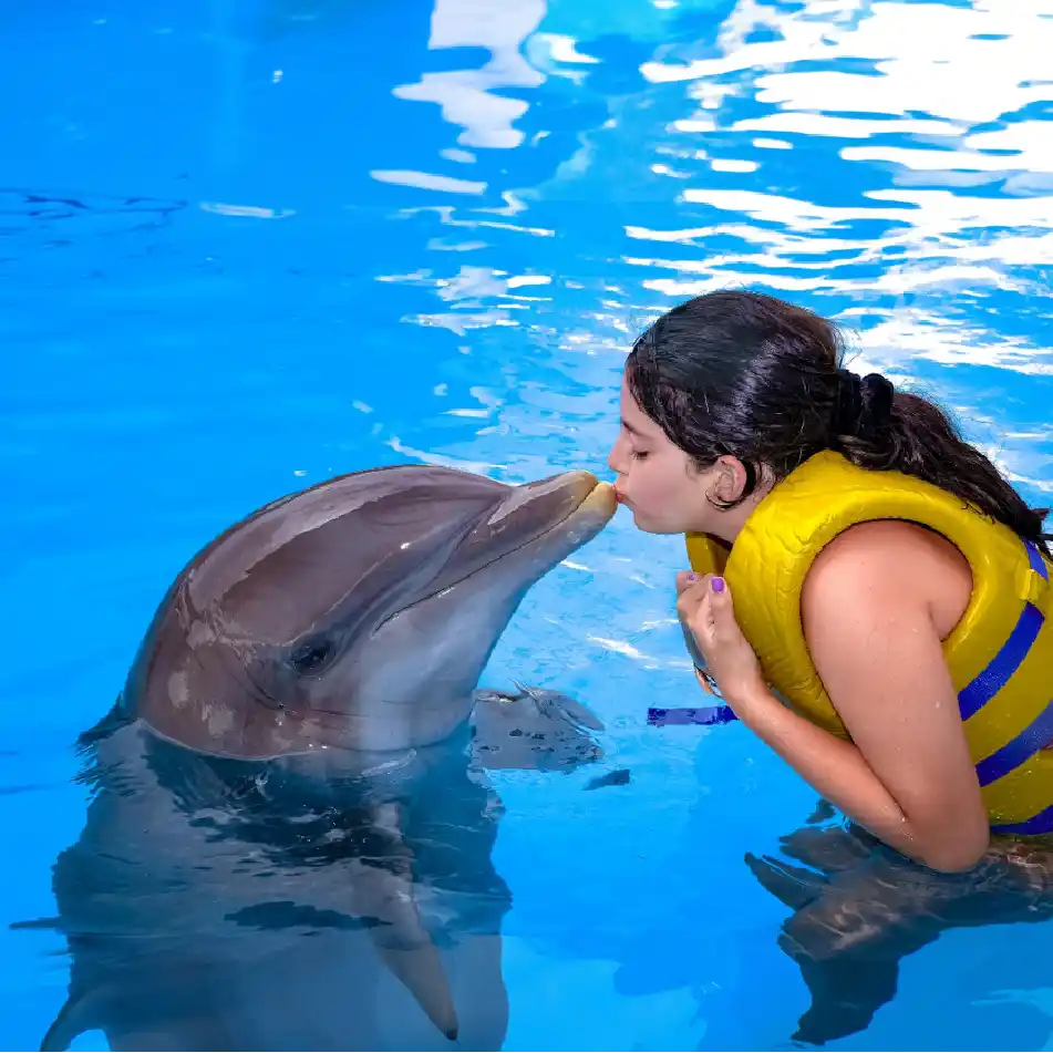 Nado con Delfines Splash 2x1