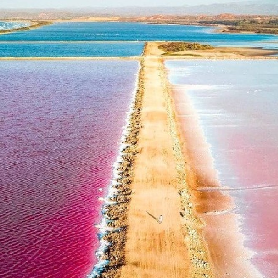 Manaure y el Mar Rosado