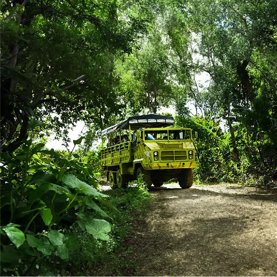 Safari Truck