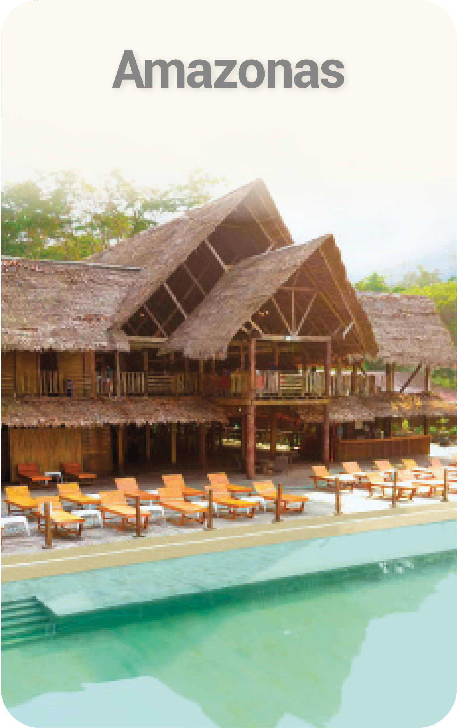 Capas2 Expertos On-06