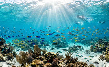 376x234-san-andres-acuario@72x