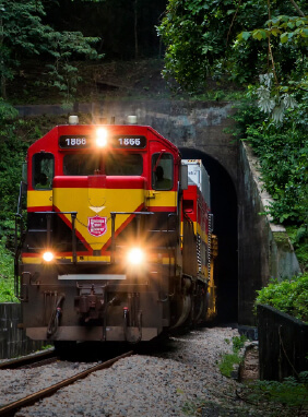 on-vacation-colombia-destino-panama-servicios-extras-tour-ferrocarril-san-lorenzo.webp
