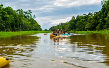 376x234_Amazonas