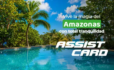 IMG AssistCard_IMG Mobile 1-convertido-de-jpg