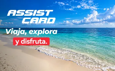 IMG AssistCard_IMG Mobile 3-convertido-de-jpg
