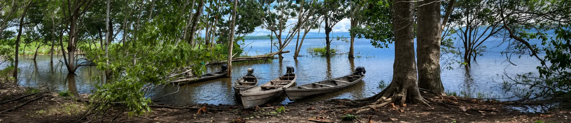 Imagenes internas 1920x413px 3