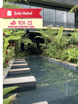 Hotel Termales el Otoño
Eje Cafetero
Ver más
Bienestar entre aguas termales y naturaleza.
Termales el Otoño